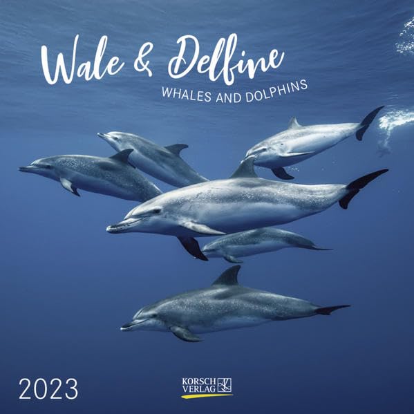 Wale und Delfine 2023: Broschürenkalender mit Ferienterminen. Tierkalender von Fischen. 30 x 30 cm