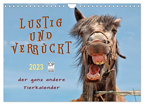 Lustig und verrückt - der ganz andere Tierkalender (Wandkalender 2023 DIN A4 quer), Calvendo Monatskalender