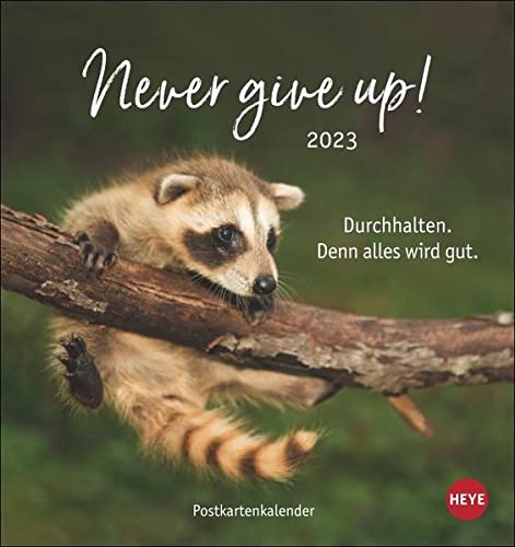 Never give up! Postkartenkalender 2023