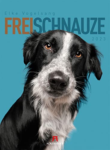 Frei Schnauze Kalender 2023, Wandkalender im Hochformat (33x45 cm) - Tierkalender / Hundekalender