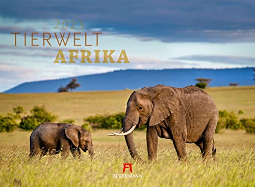 Tierwelt Afrika Kalender 2023, Wandkalender im Querformat (45x33 cm) - Tierkalender, Wildtiere, Wildlife