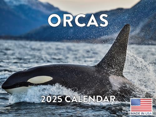 Orca Kalender 2023 Monatlicher Wandbehang Kalender Killer Wal Ozean Fisch Tier Großer Planer 24 Monate – Full 2023 Write On Grid Plus Bonus 2024 Vorschau Chart – Hergestellt in den USA