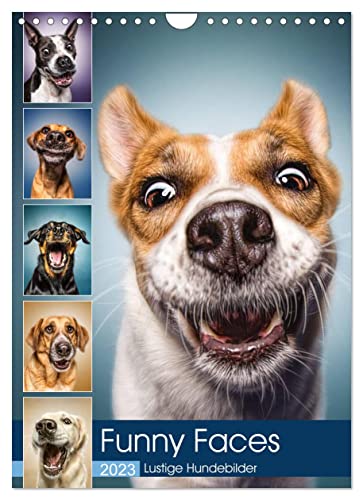 Funny Faces - Lustige Hundebilder (Wandkalender 2023 DIN A4 hoch), Calvendo Monatskalender