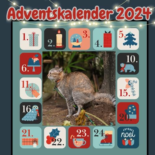 Adventskalender 2024 Lustige Katzen: Lustige Geschenkideen, Witze zwischen Kollegen und Freunden | Lustige Katzen, die kacken | Für ein lustiges und ... in Farbe | Format: 21,59 cm x 21,59 cm.