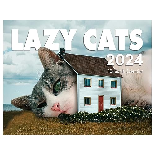 Katzen-Wandkalender 2024, Familienplaner Und Tagesplaner Mit Niedlichen Monatlichen Katzenbildern. Lustiger Lazy Cat 2024-Wandplaner, Ein Tolles Geschenk Für Katzen- Und Kätzchenliebhaber