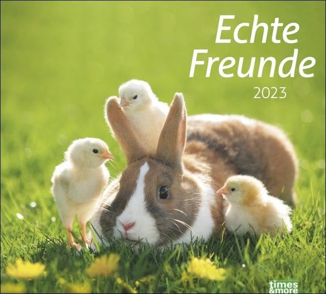 Echte Freunde Bildkalender 2023 - times&more Tier-Kalender - Wandkalender mit Monatskalendarium - 30 x 27 cm