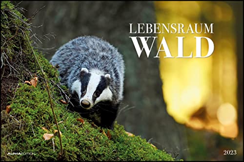 Lebensraum Wald 2023 - Bildkalender 49,5x33 cm - Tiere und Pflanzen in unseren heimischen Wäldern - Wandkalender - Wandplaner - Tierkalender