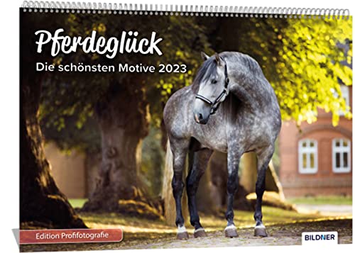 Pferde Kalender 2023 Pferdeglück! Die schönsten Pferdemotive und Aufnahmen 2023: Hochwertiger Wandkalender DIN A3 quer / Kalender / Tierkalender / Pferdekalender – Edition Profifotografie