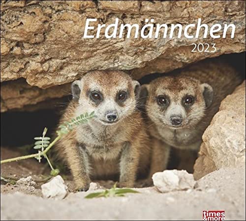 Erdmännchen Bildkalender 2023 - times&more Tier-Kalender - Wandkalender mit Monatskalendarium - 30 x 27 cm
