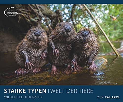 Starke Typen 2024 - Bild-Kalender - Poster-Kalender - 60x50: Wildlife Photography