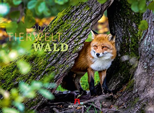 Tierwelt Wald Kalender 2023, Wandkalender im Querformat (45x33 cm) - Tierkalender mit heimischen Wildtieren, Tiere in Deutschland