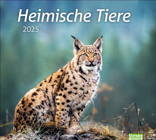 Heimische Tiere Bildkalender 2025: In diesem dekorativen Kalender finden sich die Bewohner heimischer Wiesen und Wälder. Ein times&more Wandkalender ... Tierfotos. (times&more Kalender Heye)